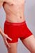 2(x)ist Herren Pants MOVE in Rot