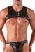 ABSOLU MALE Bondage Harness Crop Top