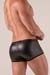 ABSOLU MALE Master Pants Trunk