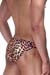 DON MORIS Brief Leopard