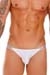 JOR Bikini Brief Eros Silver