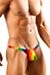 Joe Snyder Bulge Bade Stringtanga CSD Rainbow