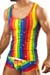 Joe Snyder Sheer TankTop Rainbow