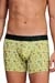 MUNDO UNICO Boxer Cup Long Greenery