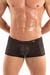 TOF Paris Temptation Microfaser Minipants black