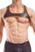 Wojoer Neopren Harness Schwarz-Orange