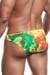 Joe Snyder 01 Bikini Slip Spectrum