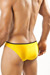 Joe Snyder Bikini Slip Pride Frame