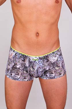 Bruno Banani Hipshort Luchs