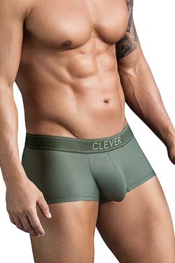 Clever CRAFTINESS LATIN Boxer Pants grn
