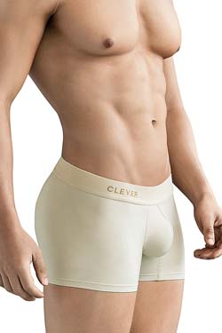 Clever GENIE Trunks Pants beige