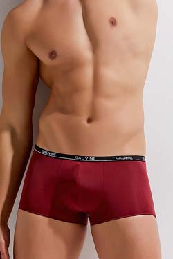 GAUVINE Microfaser Pants Burgundy