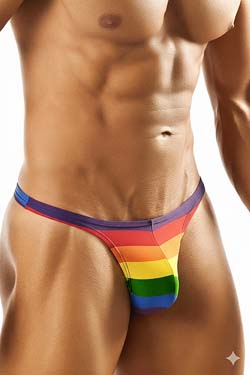 Joe Snyder Bade Stringtanga CSD Rainbow